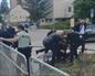 Robert Fico, primer ministro de Eslovaquia, herido tras ser disparado en la calle