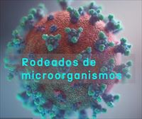 Virus, bacterias... vivimos rodeados de microorganismos