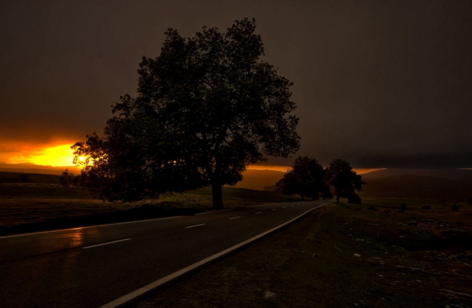 Alsasua. Photo: Andoni Sola