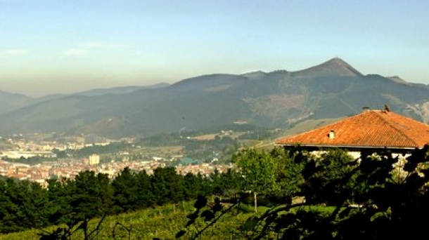 Visitas nocturnas a la bodega Beldui Txakolina