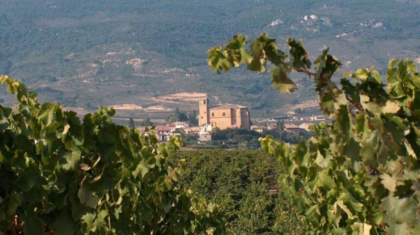 La localidad riojano-alavesa de Samaniego.