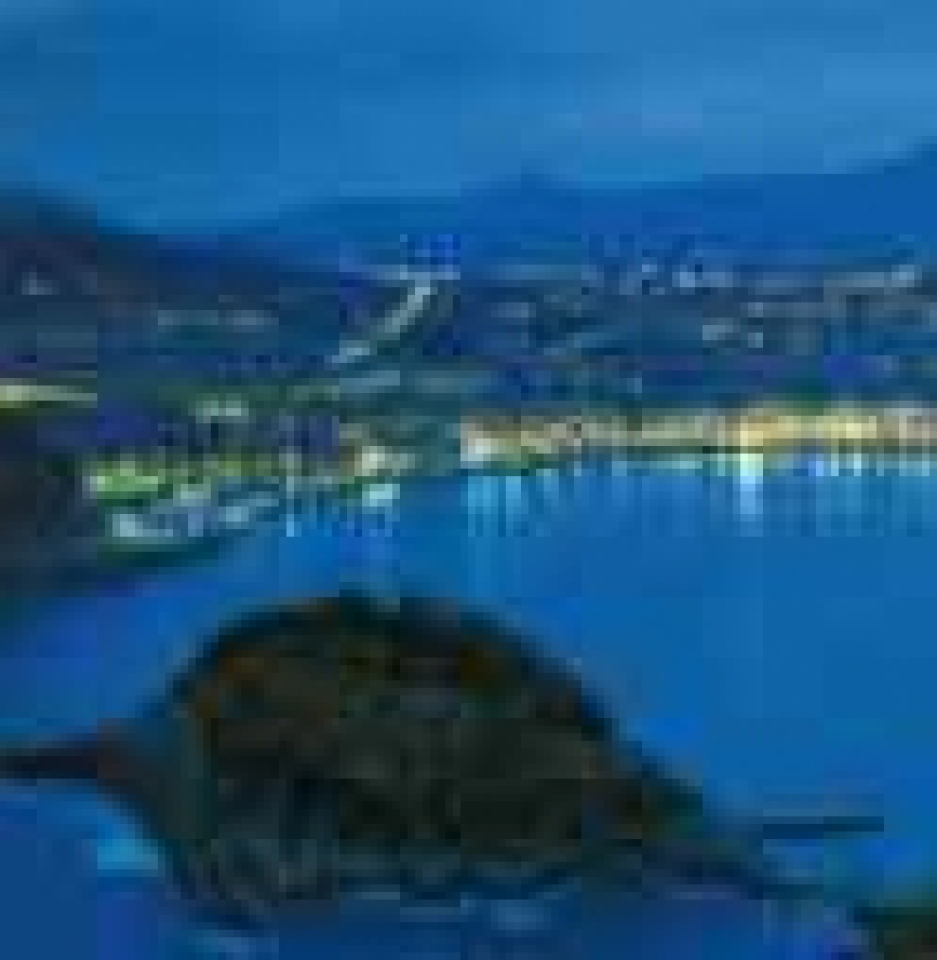 Mari Jose Arrietaren argazkia