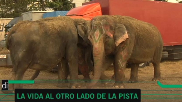 La historia del circo: Pinito del oro, Tonetti y Miguel Mendizabal