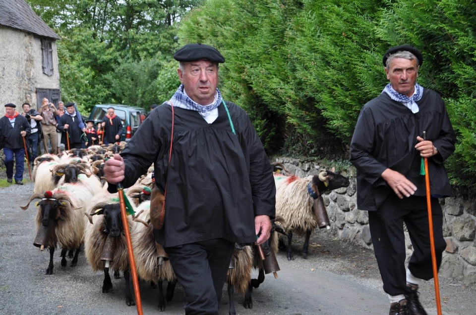 ''Monzon Pastorala'' Larraun. Argazkia: Manex Barace