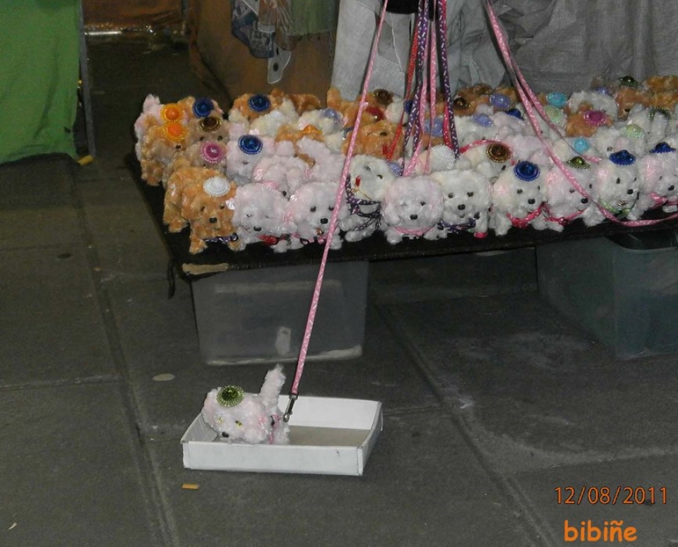 Argazkia: Bibiñe Perez