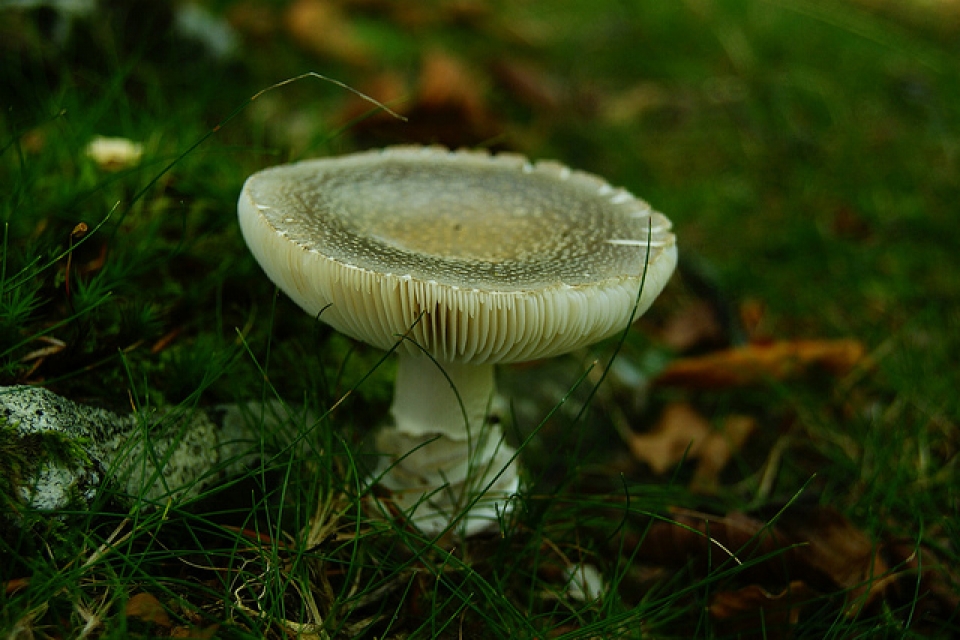 Foto: Bego Arizmendi