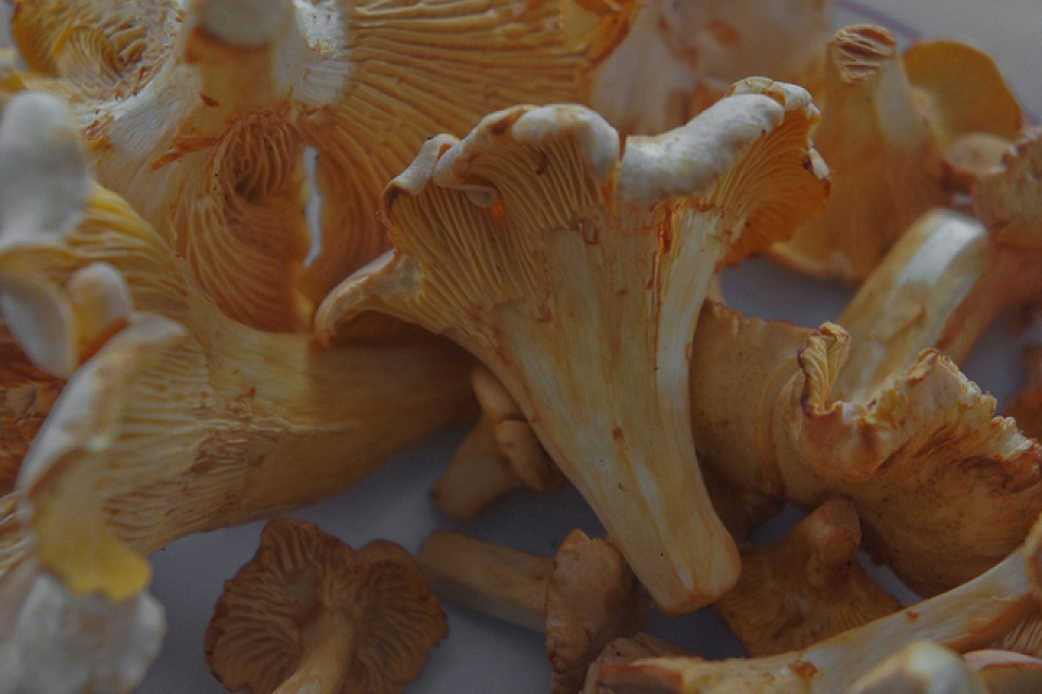 Foto: Maixabel Larruzea