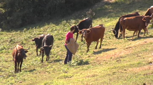 Analizamos la situación que atraviesa el sector de los agricultores y los ganaderos en Álava
