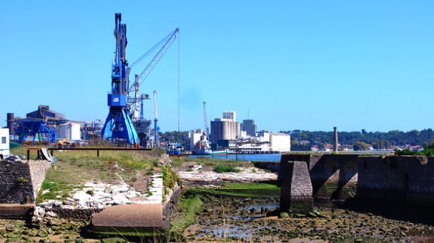 Le Port de Bayonne concerné par le projet Yara de transit de nitrate d'ammonium. Photo : EITB