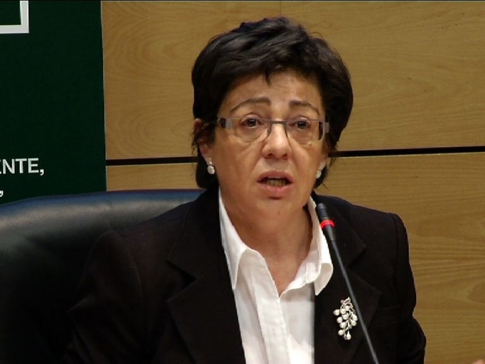 Pilar Unzalu, en 2012.