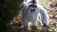 Scientists turn to genetics to prove existence of Yeti