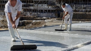 'Eusko Ikaskuntza': Nos acercamos al Valle Salado de Salinas de Añana