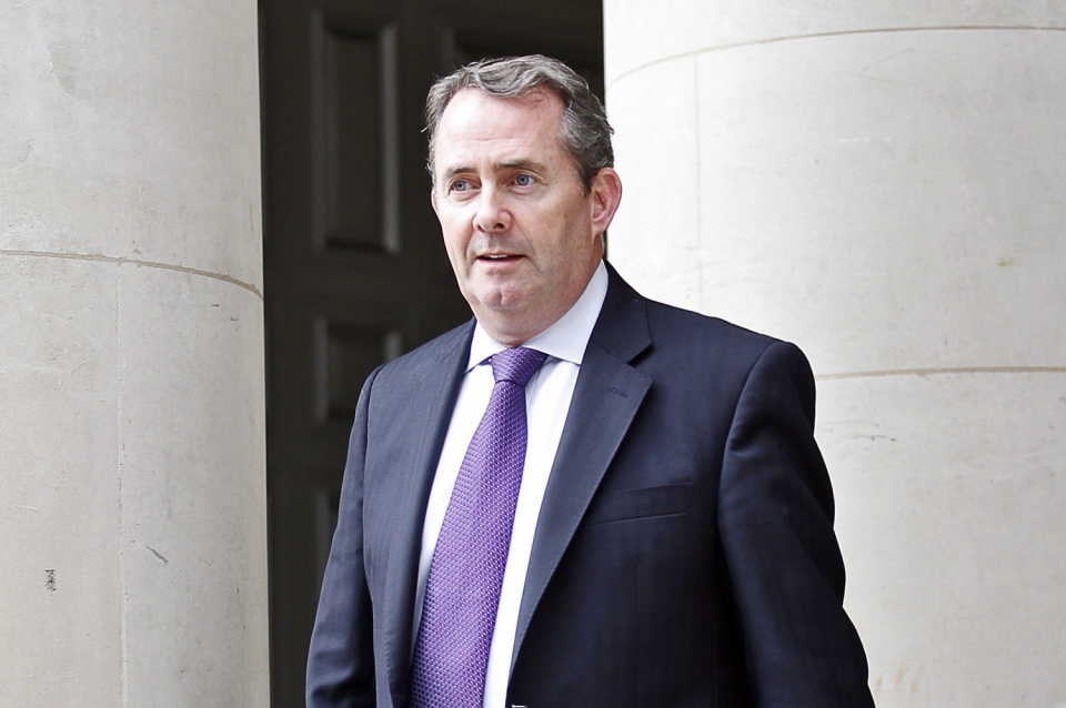 El ministro de Defensa británico Liam Fox. Foto: EFE