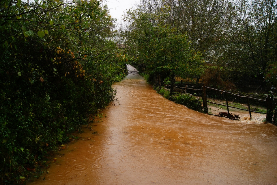 Baztan. Photo: Bego Arizmendi Bereau