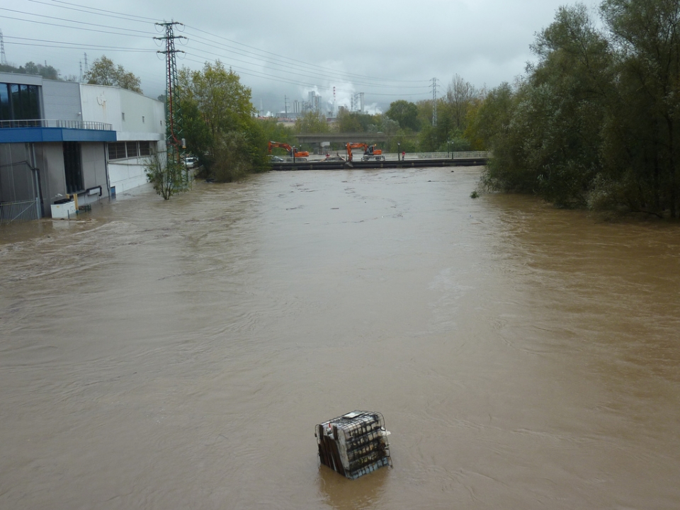 Hernani. Photo: Jose Angel Mateos