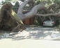 Hurricane-force winds cause widespread damage in California 
