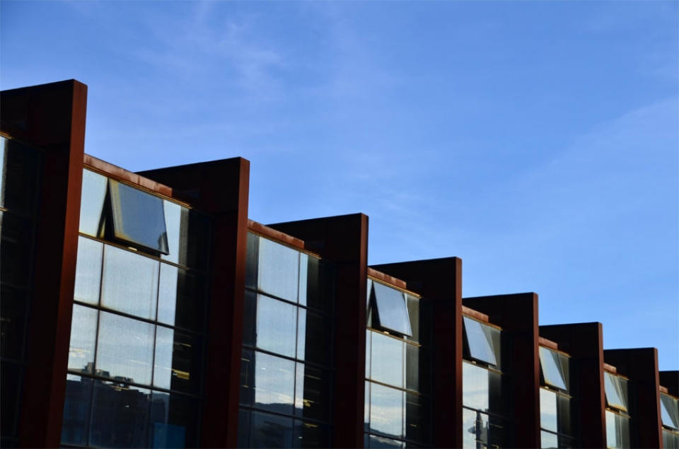 Durango 2011 Book Fair: Photos from the last day. Photo: EITB