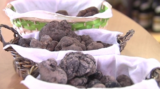 "Para trufar huevos no hay que dar de comer trufa a las gallinas"