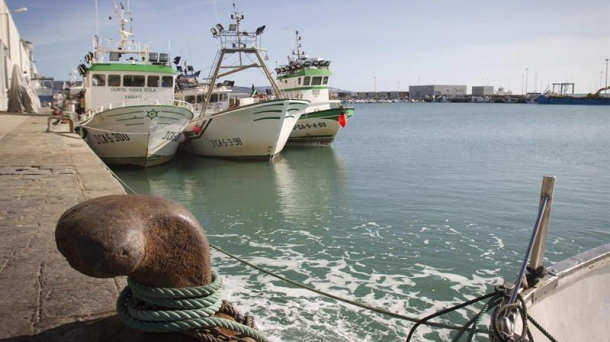 Les Etats de l'UE et la Commission européenne sont parvenus à un accord sur les quotas de pêche