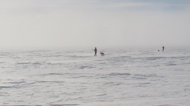 Albert Bosh en el Polo Sur
