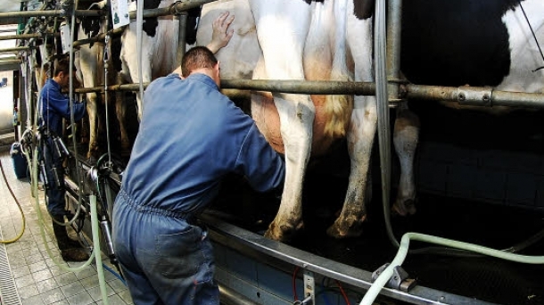 La CNMV multa ''al cartel de la leche''