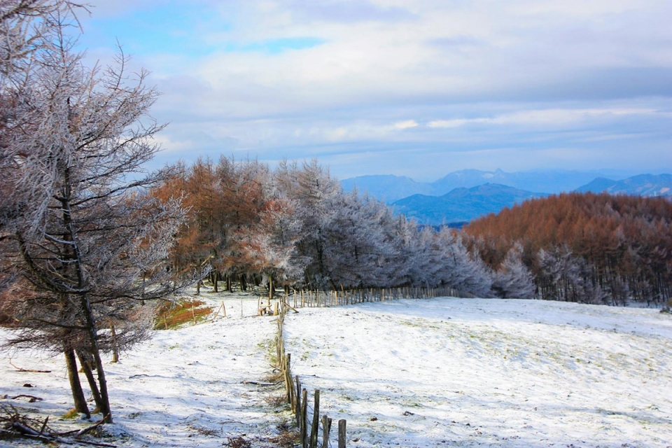 La cota de nieve bajará hasta los 400 metros, el domingo. Foto: José Luis Soto