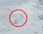 Iceland's Loch Ness Monster caught on camera