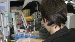 Ciencia: un 2012 notable