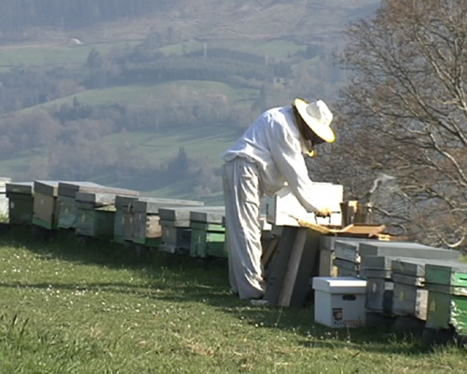 Erlezain bat erlauntzetan lanean. Argazkia: EITB