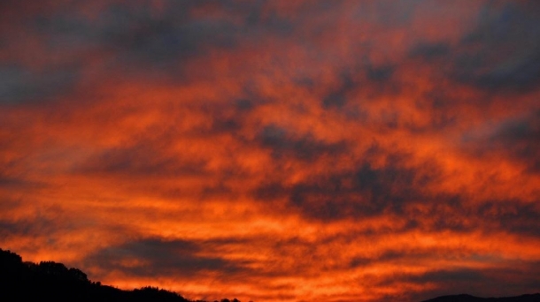 Caso Bio Bac contra Rafael Chacón