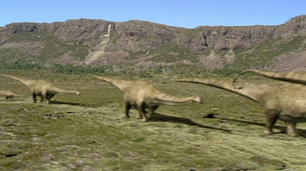 La evolución de los dinosaurios, la ciudad muerta y matemáticas