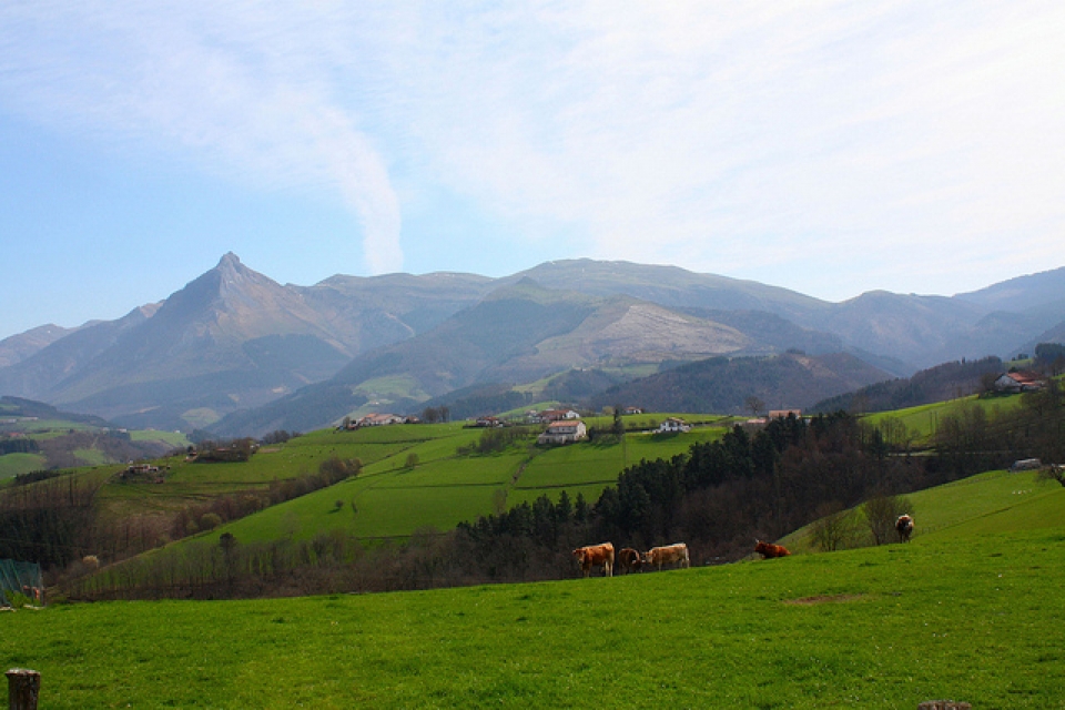 Aralar.Argazkia: Lazaro Gonzalez