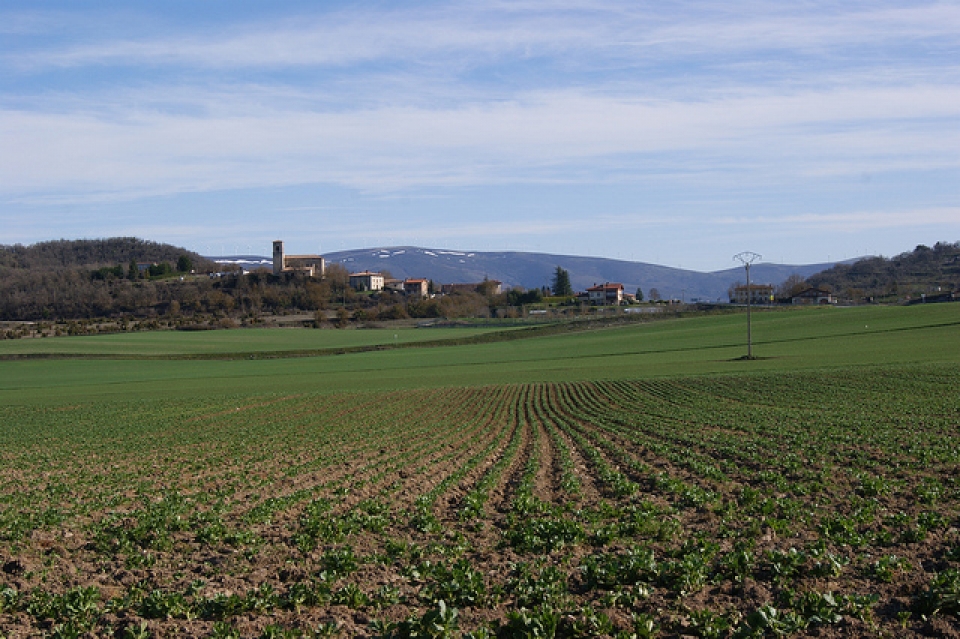 Barrundia. Argazkia: Aitor Ibargutxi