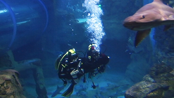 Eñaut Zubikarai, sumergido en el Aquarium, en la presentación del ciclo. Foto: EITB