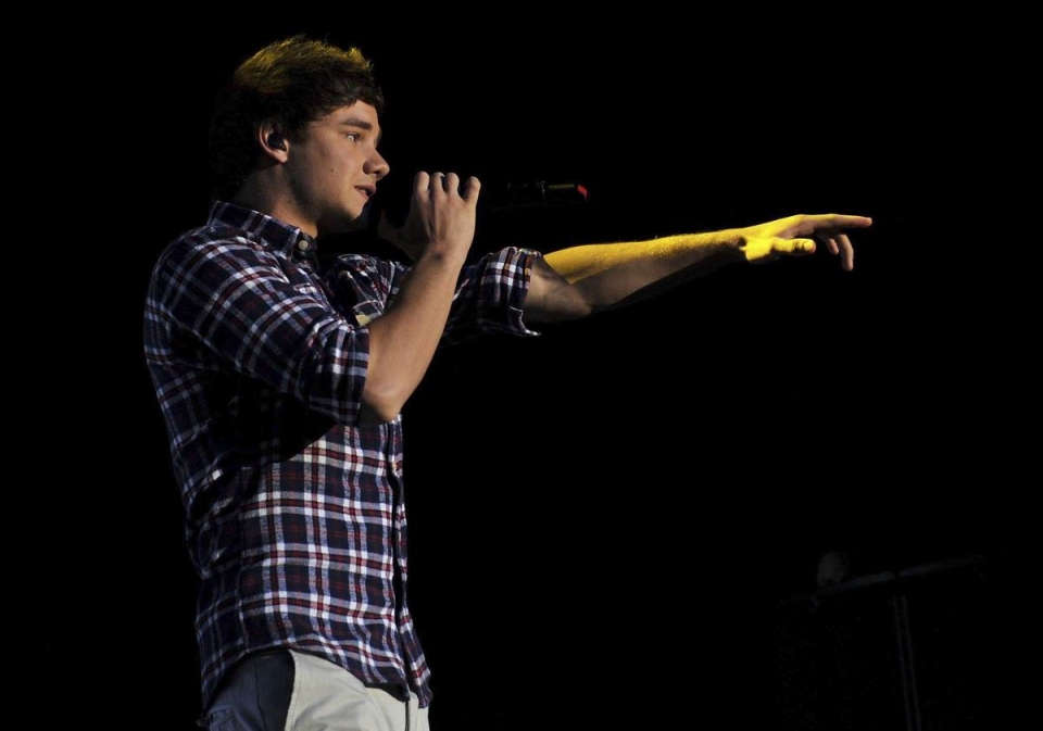 One Direction. Argazkia: EFE