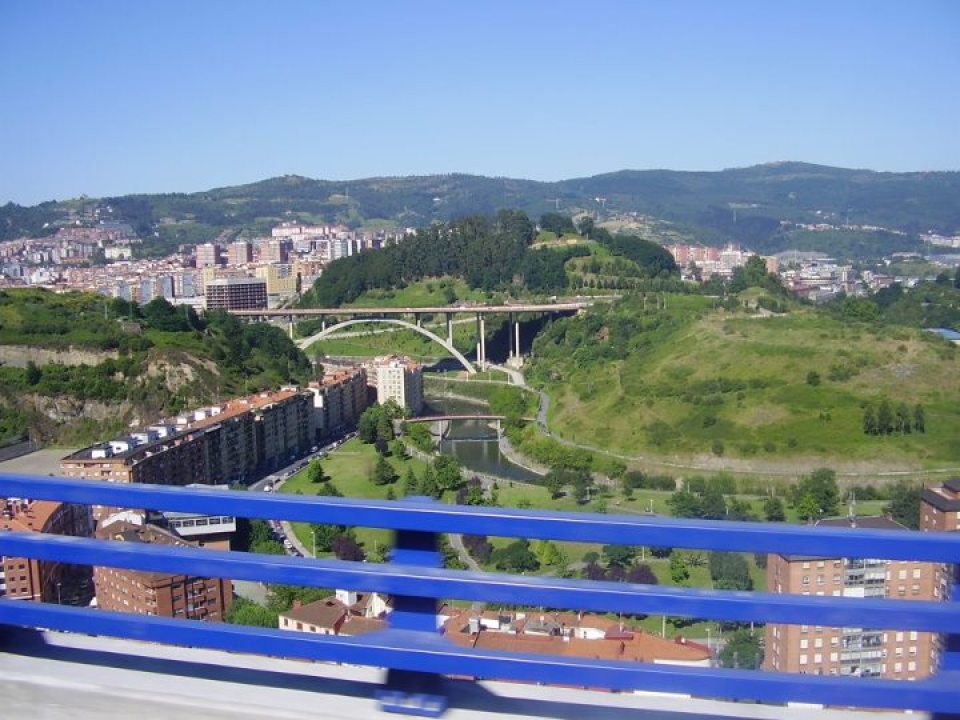 La Peña. Cari Azkona