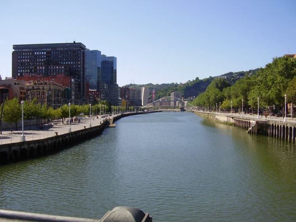 Bilboko ibaia. Cari Azkona