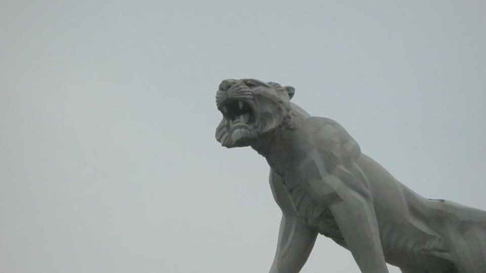 Deustuko Tigrea. David Lucarini