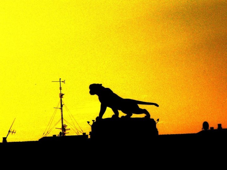 Deustuko Tigrea. Edurne Cortes