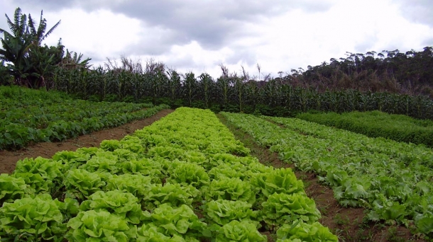 BIOESKOLA: Agricultura inclusiva