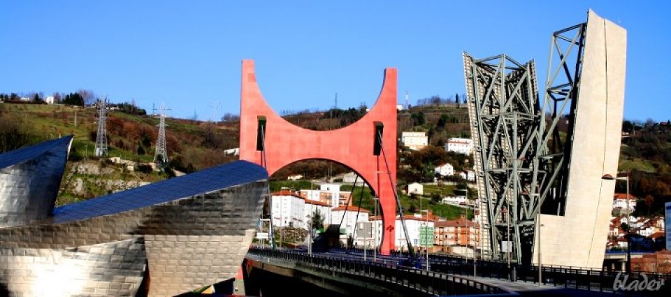 Salve zubia. Marius Homoerasmus