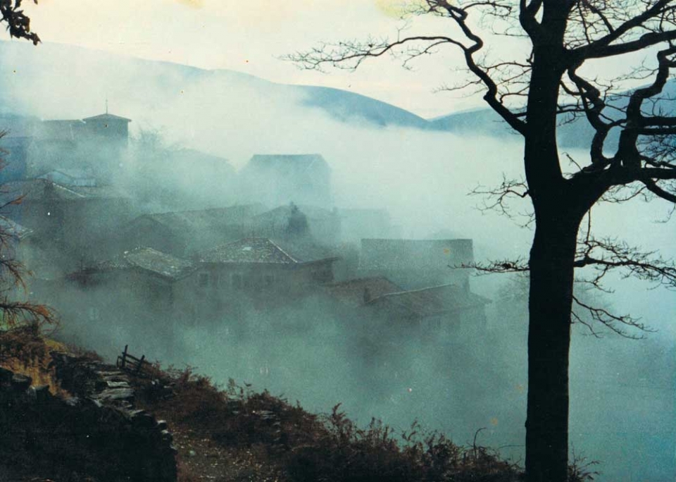 Behelainoa Aranon. Argazkia: Mikel Ruiz.