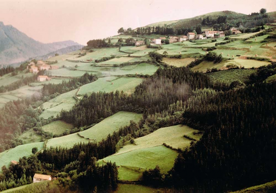 Belarsoroak Aranon. Argazkia: Mikel Ruiz.