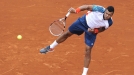 Jo-Wilfried Tsonga. Argazkia: EFE title=
