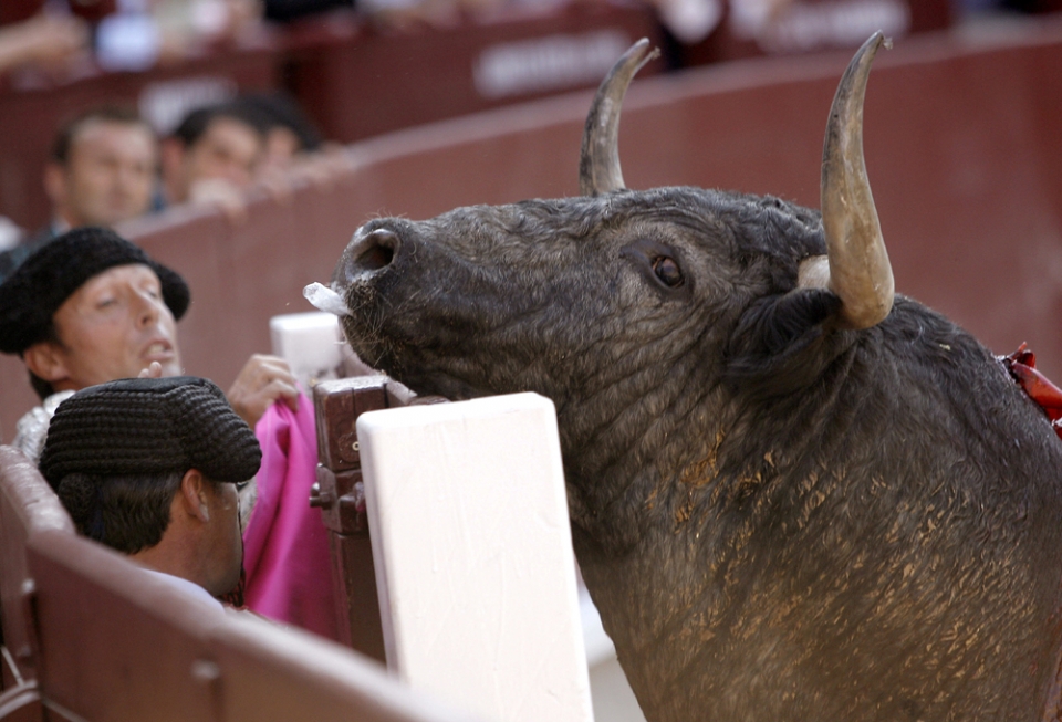 Una corrida de toros. EFE