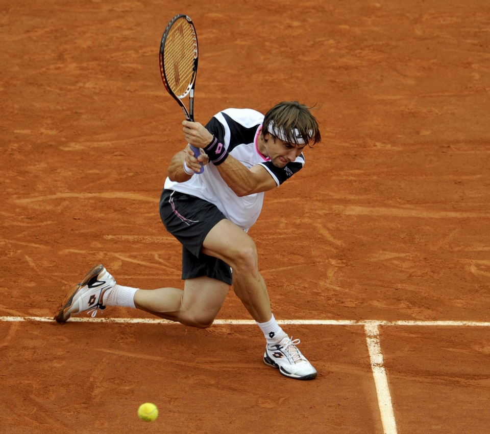 David Ferrer. Argazkia: EFE