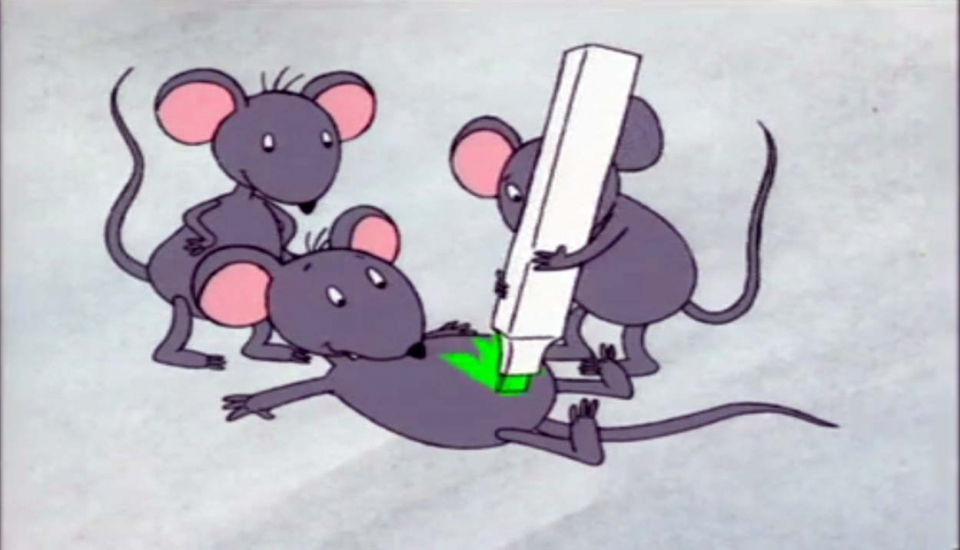 Saguak. Argazkia: Cromosoma