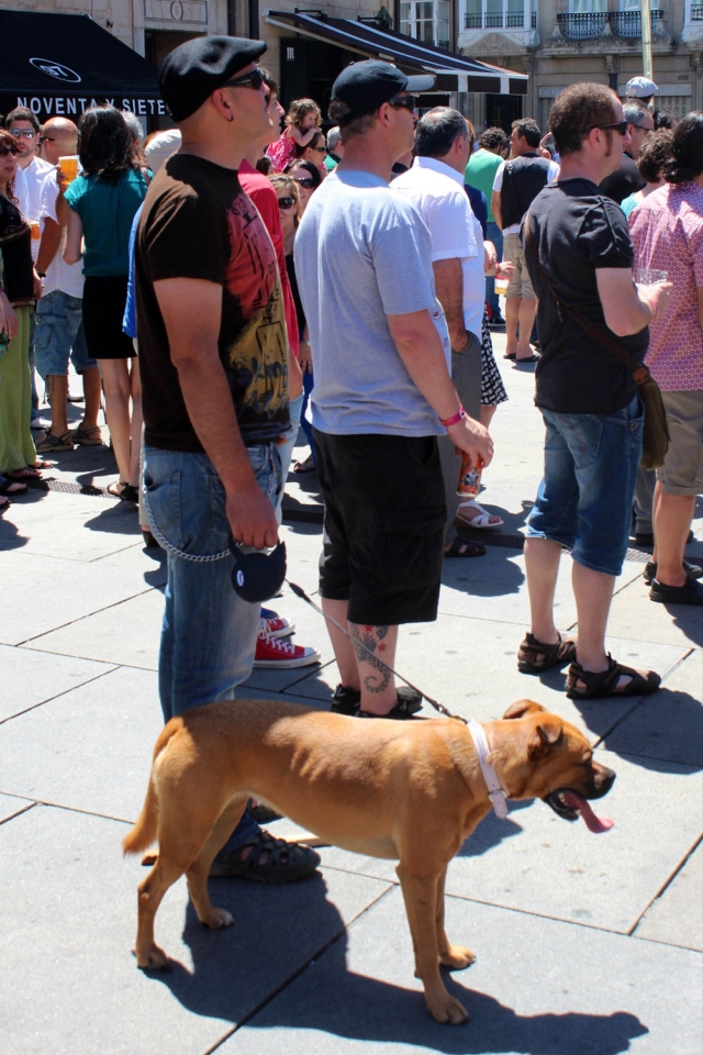 Multitud de seguidores se han acercado a la plaza de la Virgen Blanca. Foto: Tom Hagen
