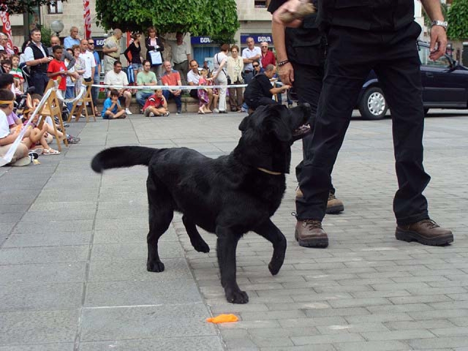 Hiru3 Jaia. Argazkia: EITB