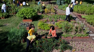 Imagen compartida por Michelle Obama [Foto: Pinterest]